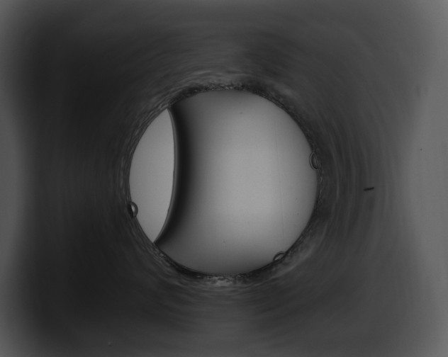 X0000100500624200806130731