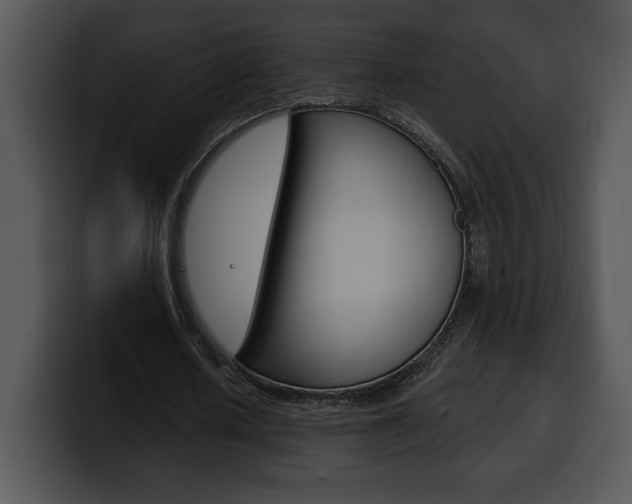 X0000100500626200806130730