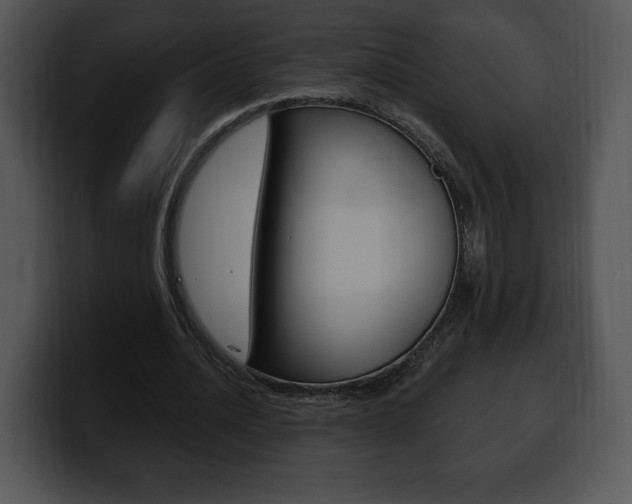 X0000100500628200806130730