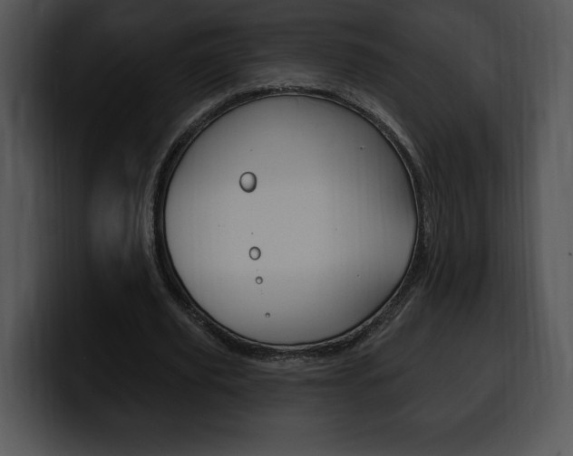 X0000100500629200806130730