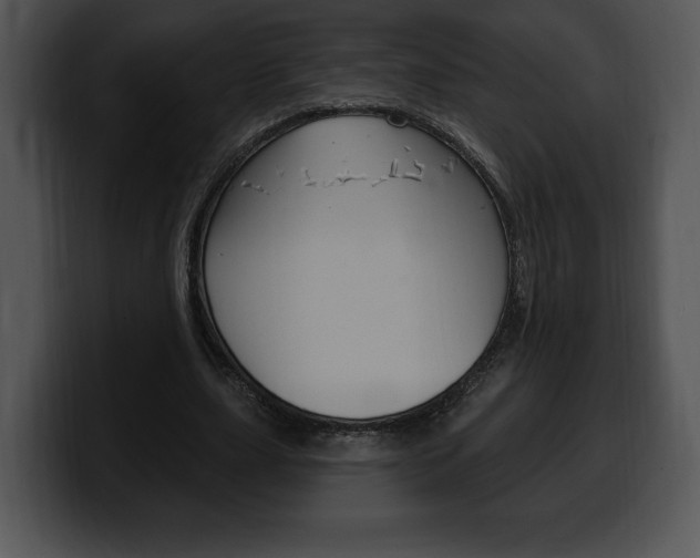 X0000100500631200806130730