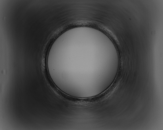 X0000100500633200806130730