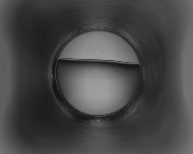 X0000100500634200806130730