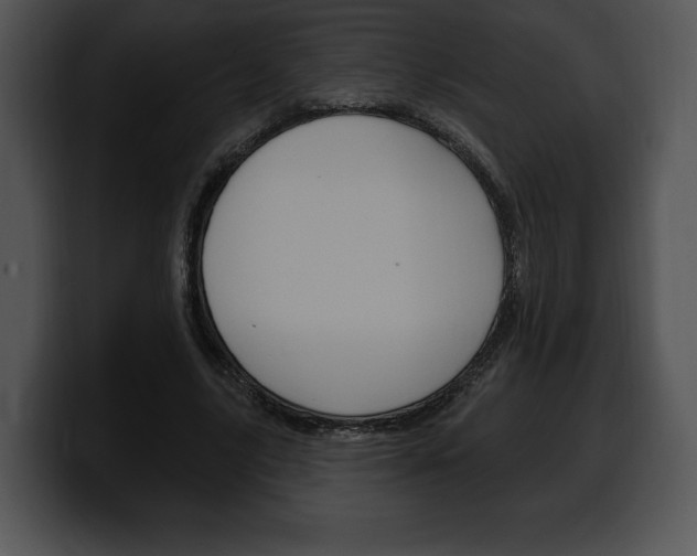 X0000100500635200806130730