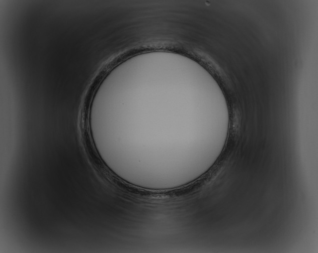 X0000100500636200806130730