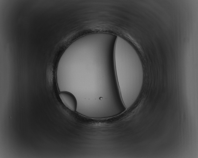 X0000100500637200806130730