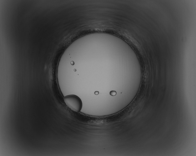 X0000100500639200806130730