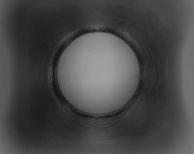 X0000100500640200806130730