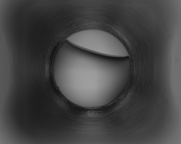 X0000100500641200806130730