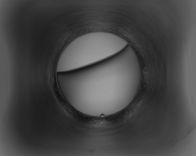 X0000100500642200806130730
