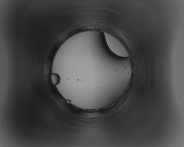 X0000100500645200806130730