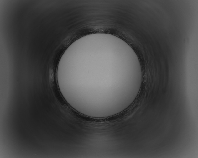 X0000100500646200806130730