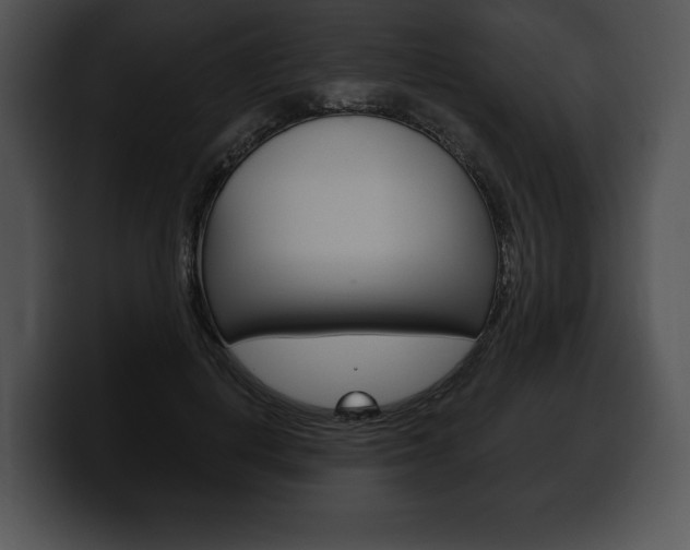 X0000100500648200806130730