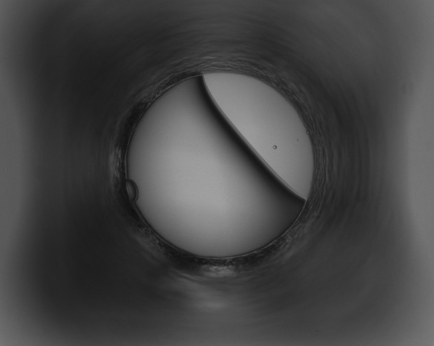X0000100500649200806130730