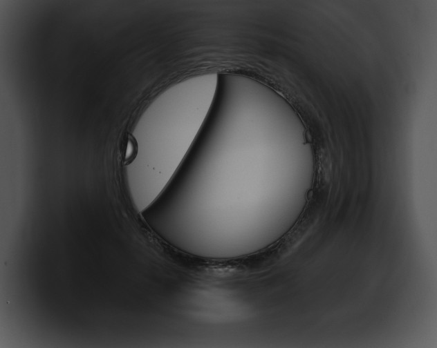 X0000100500650200806130730