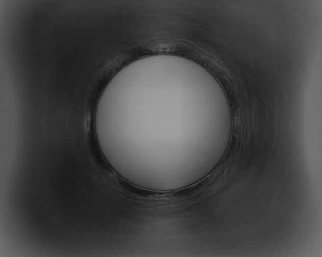 X0000100500652200806130730