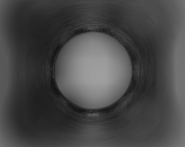 X0000100500653200806130730