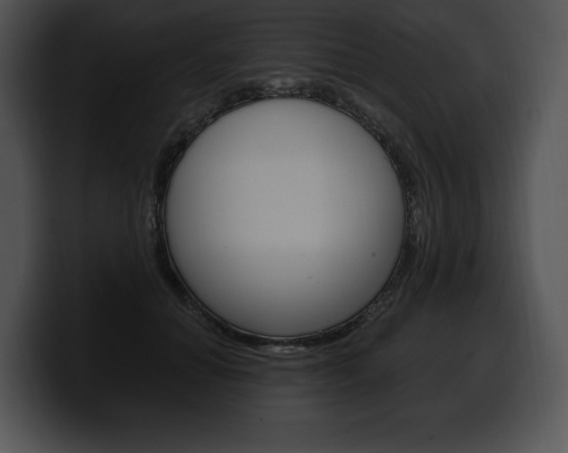 X0000100500654200806130730