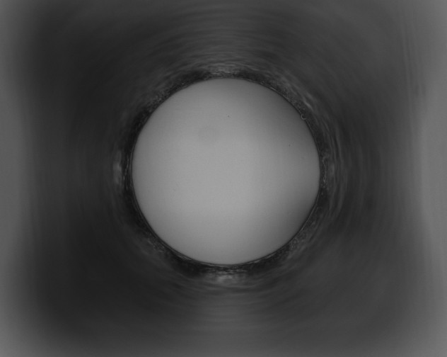 X0000100500655200806130730