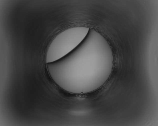 X0000100500656200806130730