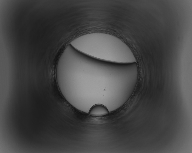 X0000100500657200806130730