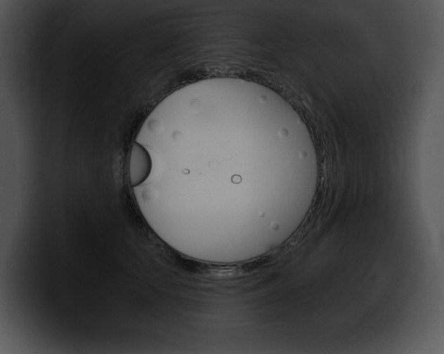 X0000100500659200806130730
