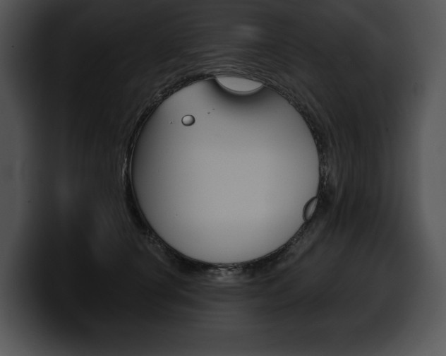 X0000100500660200806130730