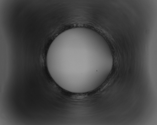X0000100500661200806130730