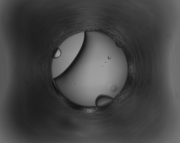 X0000100500662200806130730
