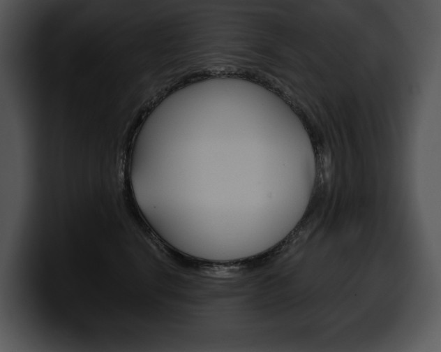 X0000100500664200806130731