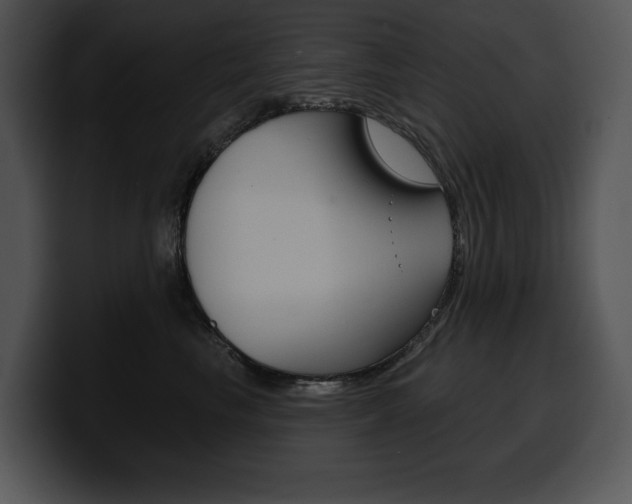 X0000100500665200806130731