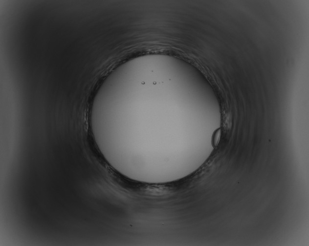 X0000100500666200806130731