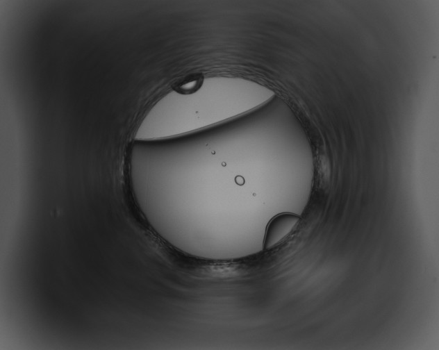 X0000100500668200806130731