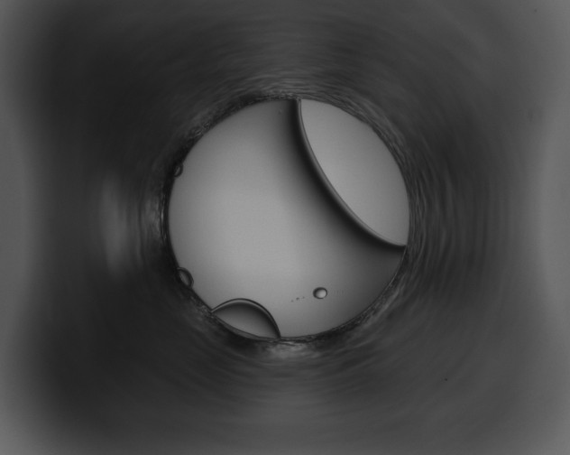 X0000100500669200806130731