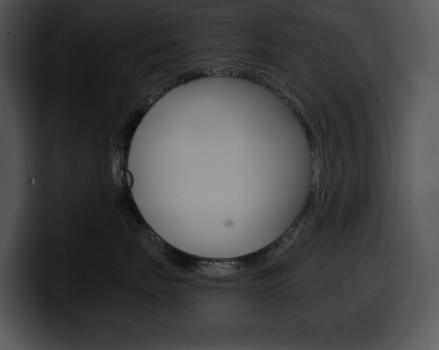 X0000100500671200806130731