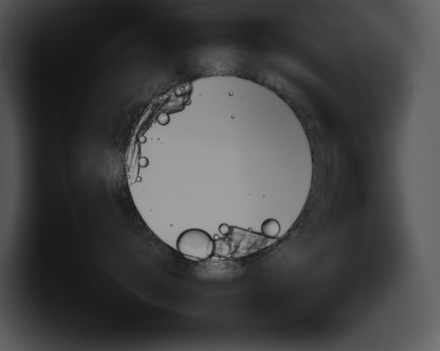 X0000100500672200806130731