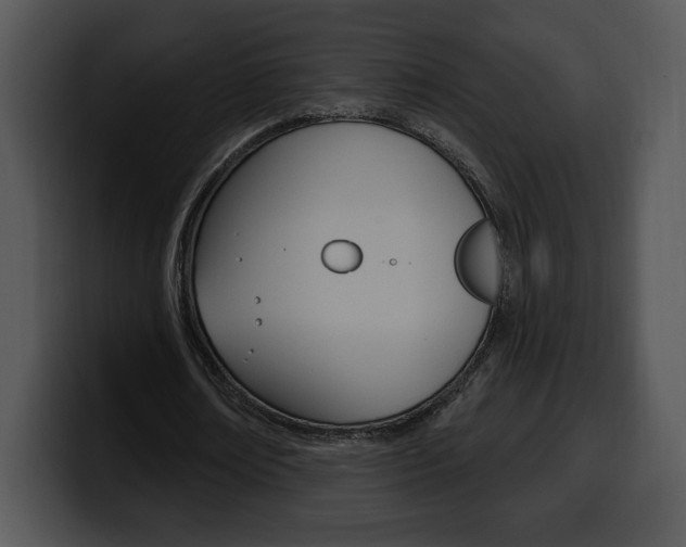 X0000100500674200806130730