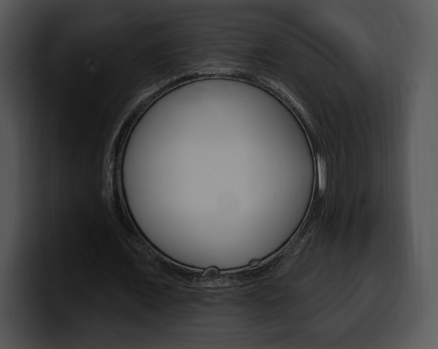 X0000100500675200806130730