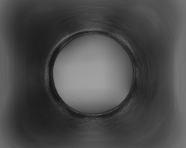 X0000100500676200806130730