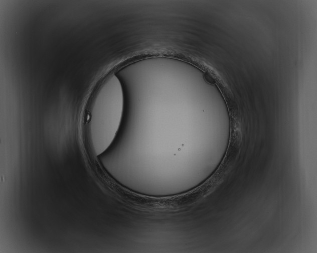 X0000100500678200806130730