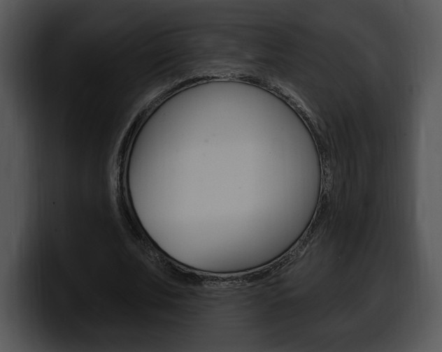 X0000100500679200806130730