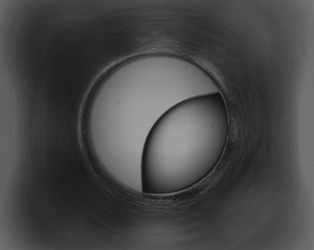 X0000100500680200806130730