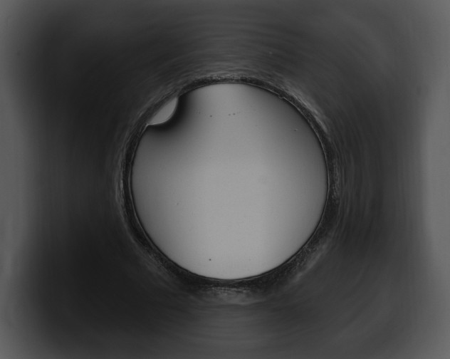 X0000100500681200806130730