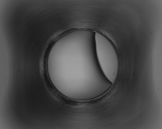 X0000100500682200806130730