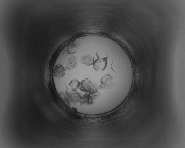 X0000100500683200806130730