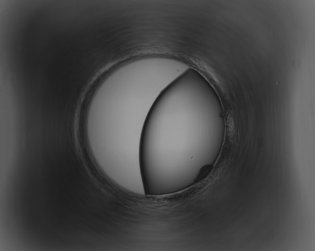 X0000100500684200806130730