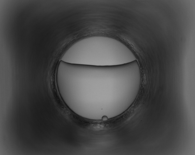 X0000100500687200806130730