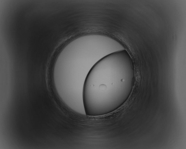 X0000100500688200806130730