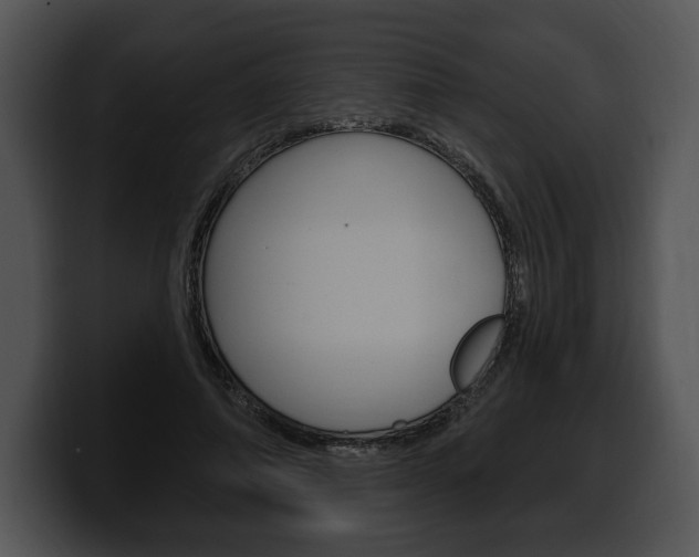 X0000100500690200806130730