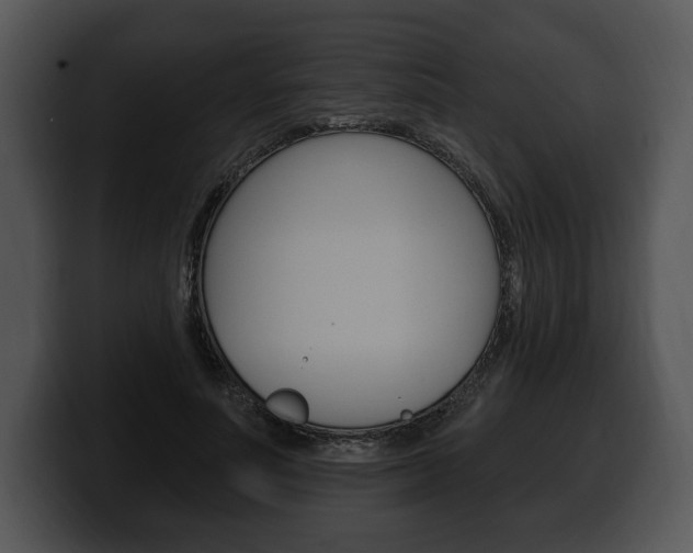 X0000100500691200806130730